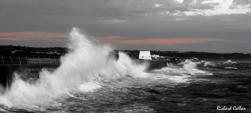 DSC_5497c.jpg