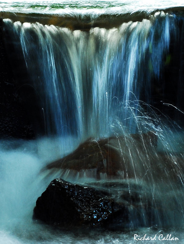 DSC_8739b.jpg