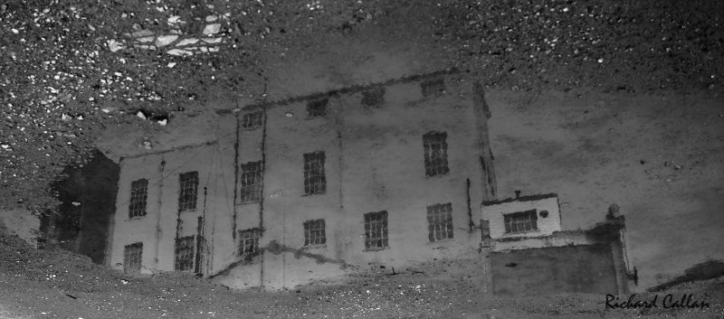 Ann Street Brewery