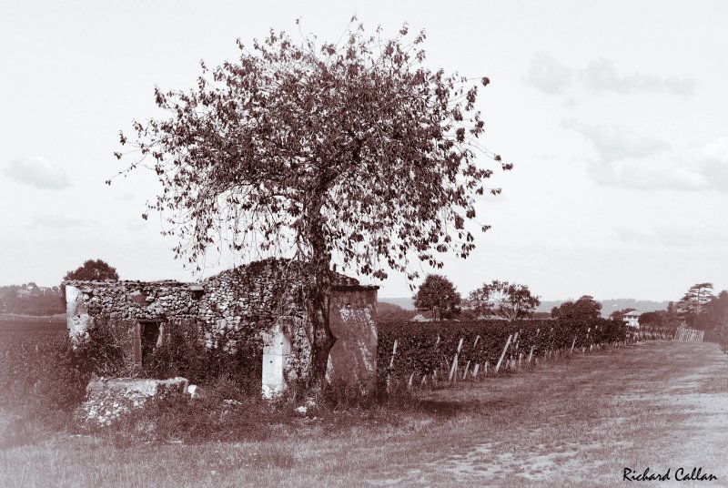 Les Leves, France