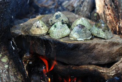 Cooking limpets