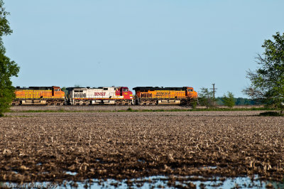 Westbound at Ancona, Ill.