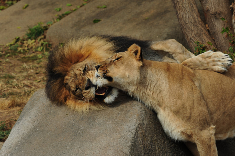 DSC_8663.jpg