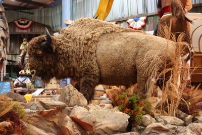 Stuffed buffalo