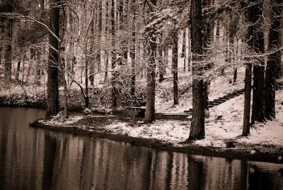 Alabama, snowy day (black & white)