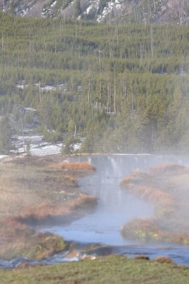 Y001.jpg