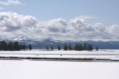 Y022.jpg