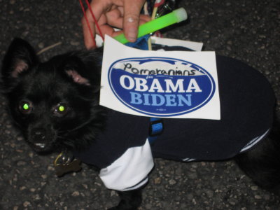 goes canvassing on Halloween.