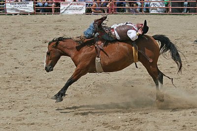IMG_6613Holstein.jpg