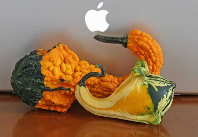 Gourd4.jpg
