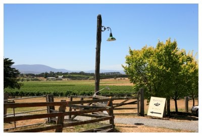 Yering Farm