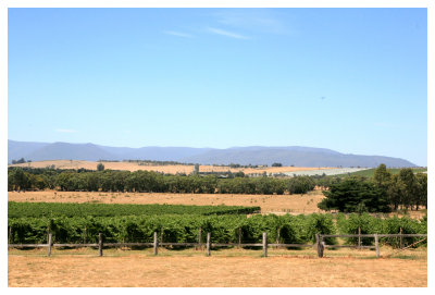 Yering Farm