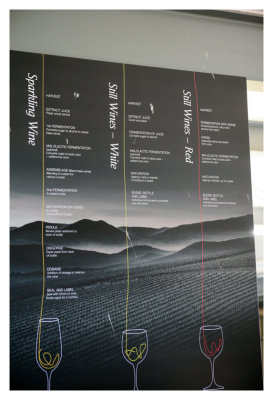 Steps to Making Wine