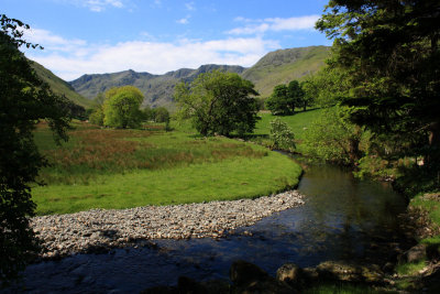 Grizedale Beck