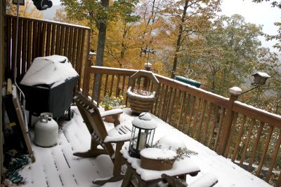 First Snow_2.jpg