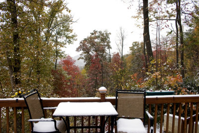 First Snow_3.jpg