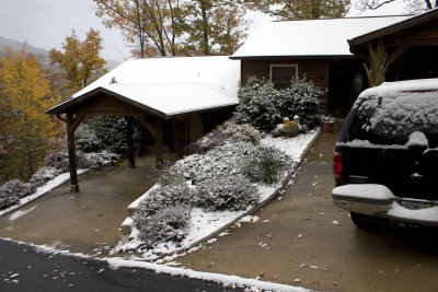 First Snow_6.jpg