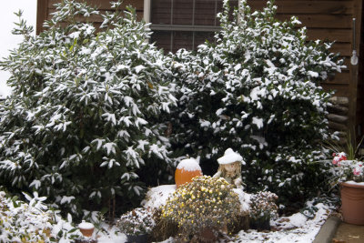 First Snow_10.jpg