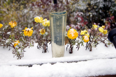 First Snow_11.jpg