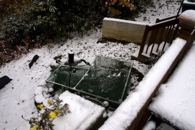 First Snow_12.jpg