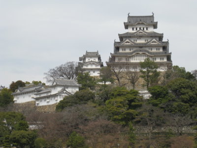 g1/70/406470/3/110870703.LaqXQXJp.jpg