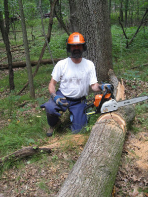Tree4.jpg