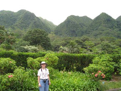 Lyon Arboretum
