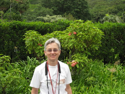 Lyon Arboretum