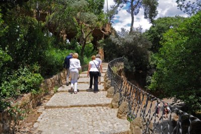 Wonderful paths in the park