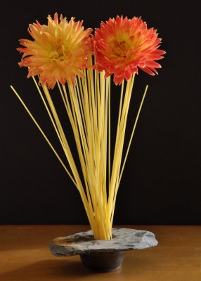  Spaghetti flowers I