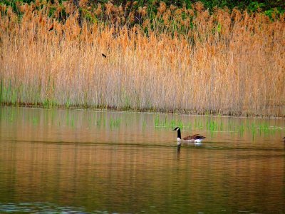 Lazy Spring Day 4-09.jpg