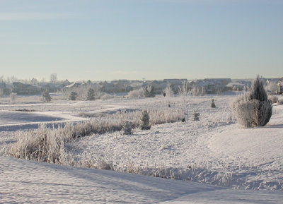 Frozen Landscape - Broomfield, CO