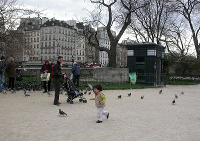 Happy child chasing pigeons