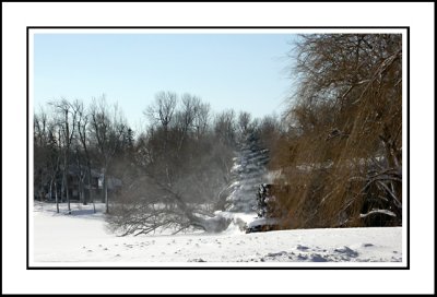 Winter Whirl