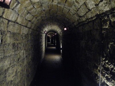 Paxton's tunnel