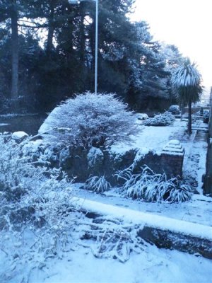 7 Feb 09 - 7:33 am