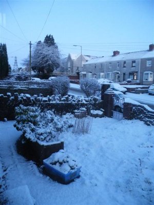 7 Feb 09 - 7:33 am