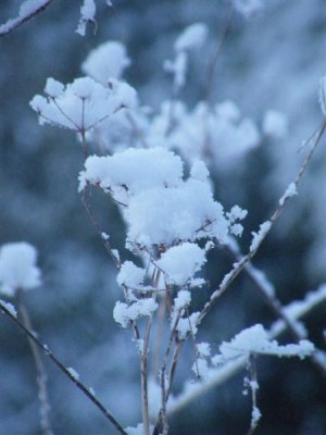 7 Feb 09 - 7:37 am