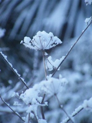 7 Feb 09 - 7:38 am