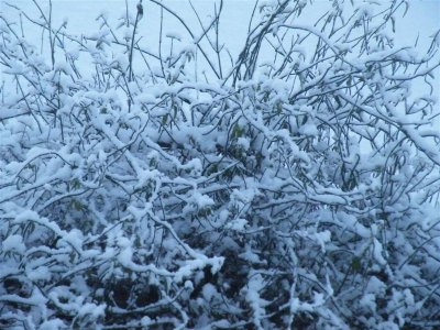 7 Feb 09 - 7:41 am
