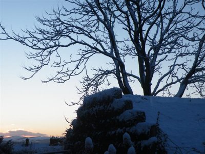 7 Feb 09 - 7:45 am