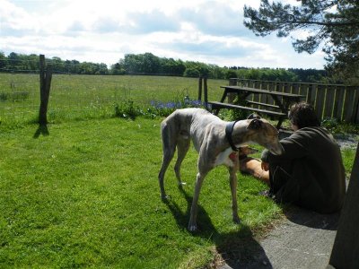02 She's spoilt, that Tess
