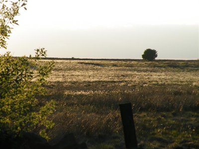 g1/70/495670/3/125724232.ClW3pf2k.jpg