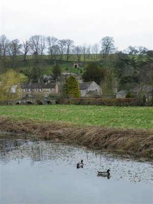 DSCF8811 (Medium).JPG