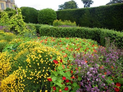 Hardwick Hall - herb garden