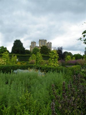 Hardwick Hall - herb garden