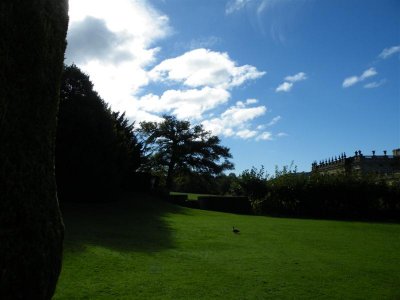 View across Salisbury lawn