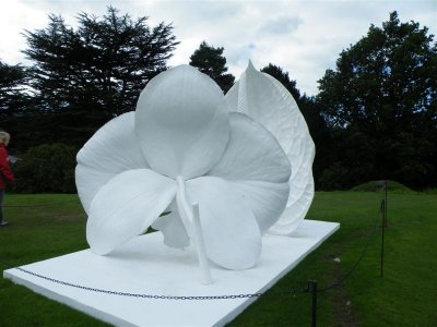 The Engine of Evolution by Marc Quinn