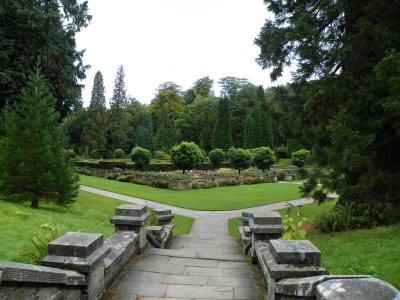 Maze garden