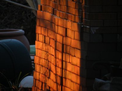 9 Jan 11 - Golden light on bricks and junk